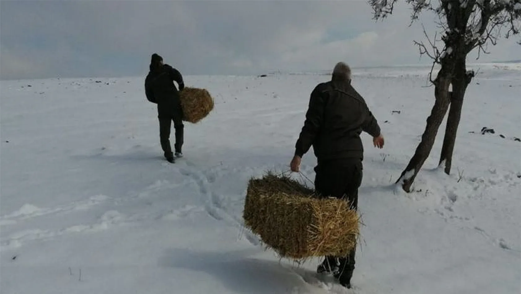 Elazığ da Yaban Hayvanları İçin Doğaya Yem Bırakıldı