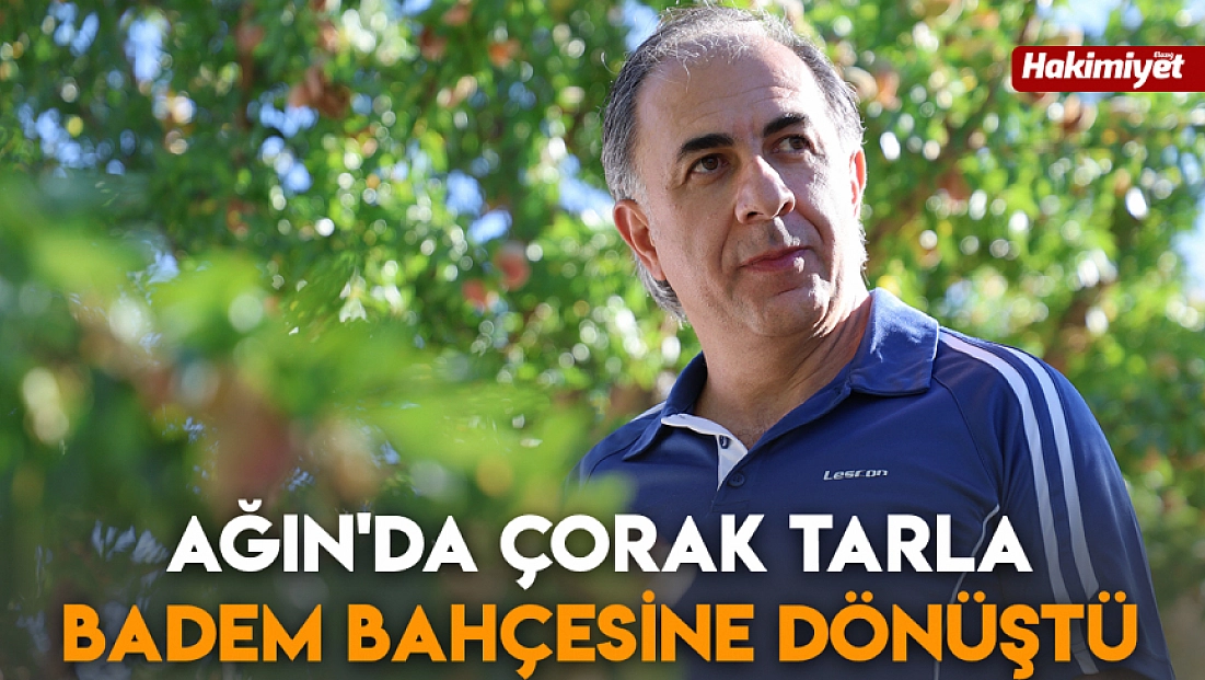 Ağın'da çorak tarla badem bahçesine dönüştü