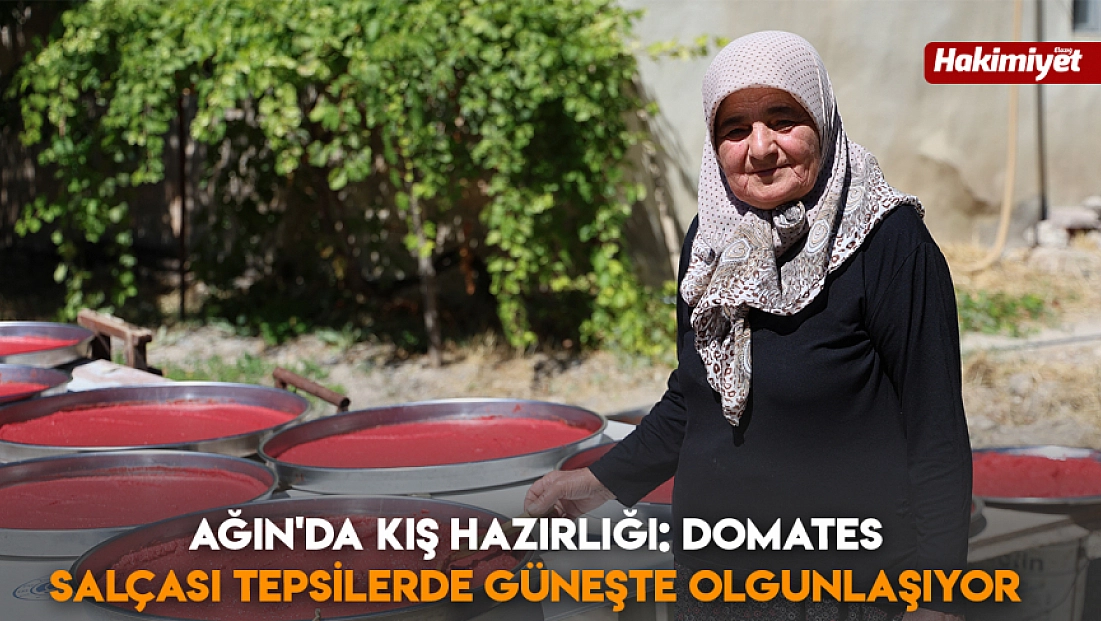Ağın'da kış hazırlığı: domates salçası tepsilerde güneşte olgunlaşıyor