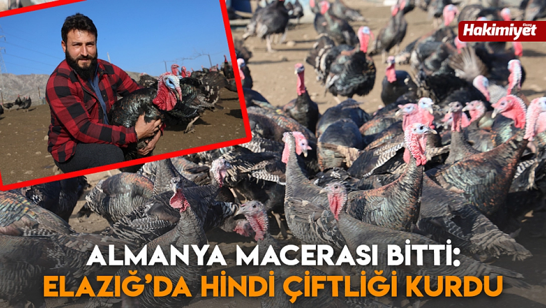 Almanya macerası bitti: Elazığ’da hindi çiftliği kurdu