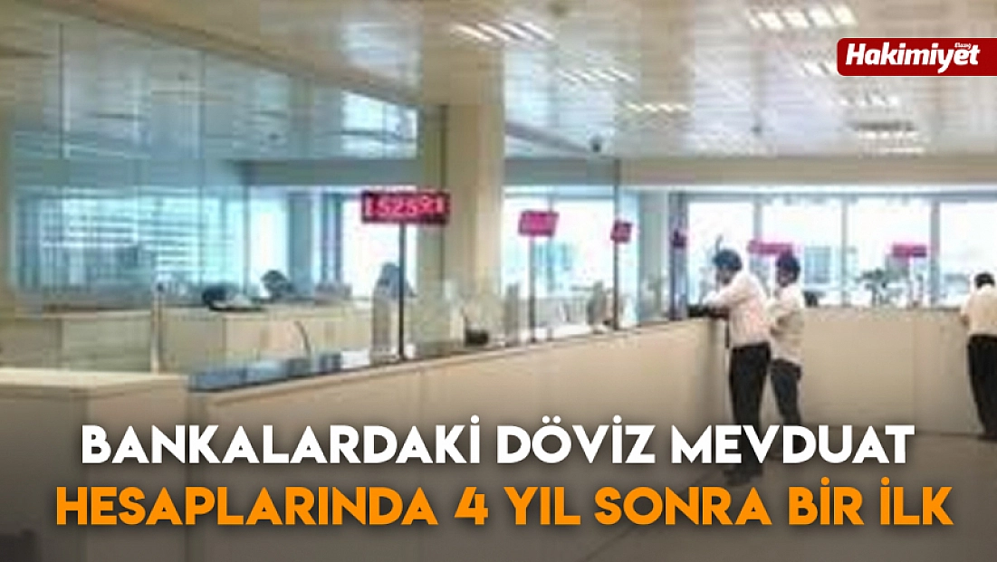 Bankalardaki döviz mevduat hesaplarında 4 yıl sonra bir ilk