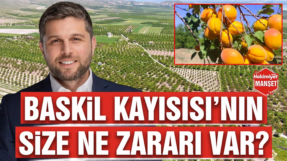 Baskil Kayısısı’nın size ne zararı var?