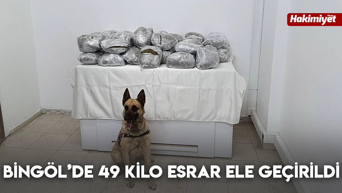 Bingöl’de 49 kilo esrar ele geçirildi