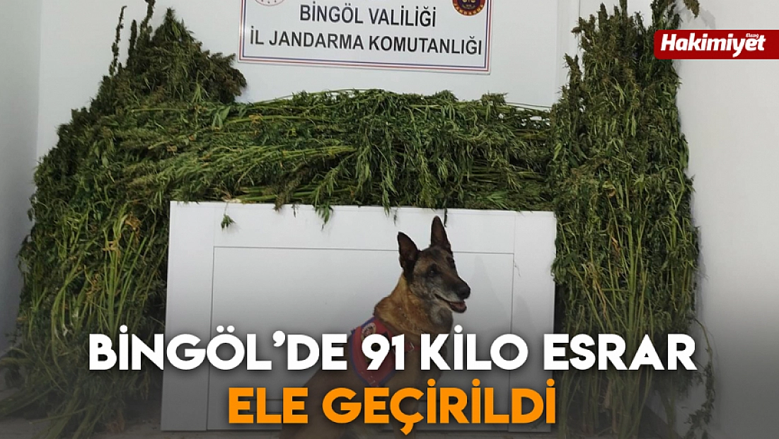 Bingöl’de 91 kilo esrar ele geçirildi