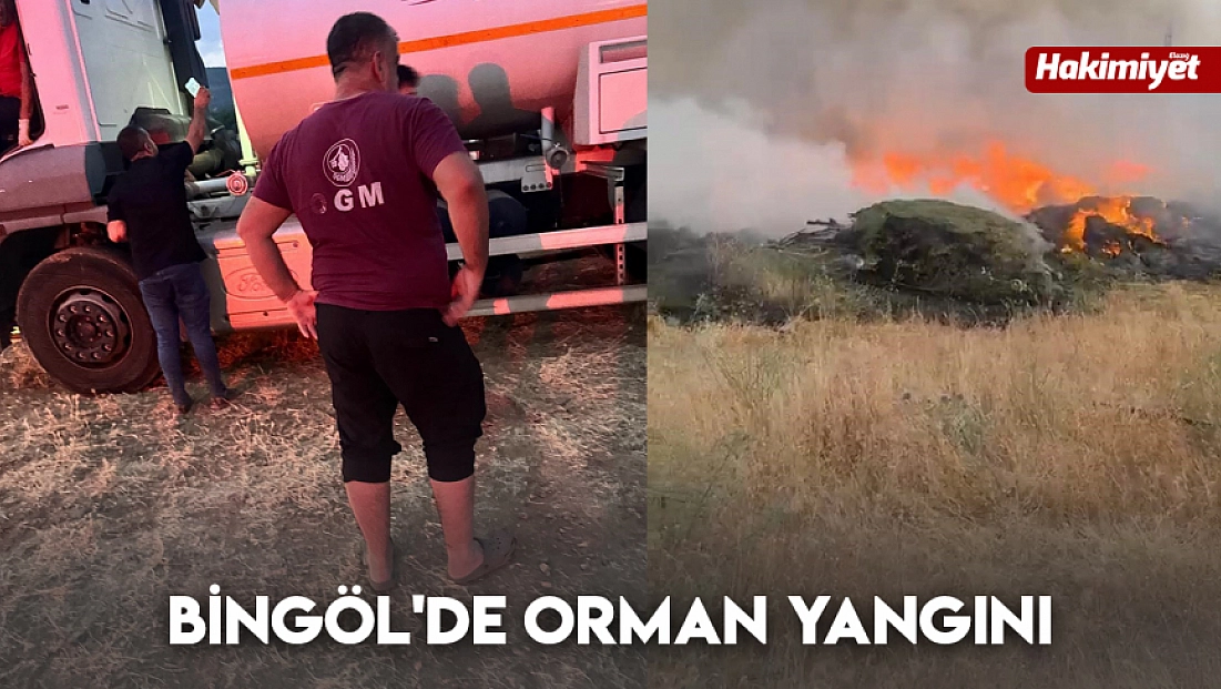 Bingöl'de orman yangını