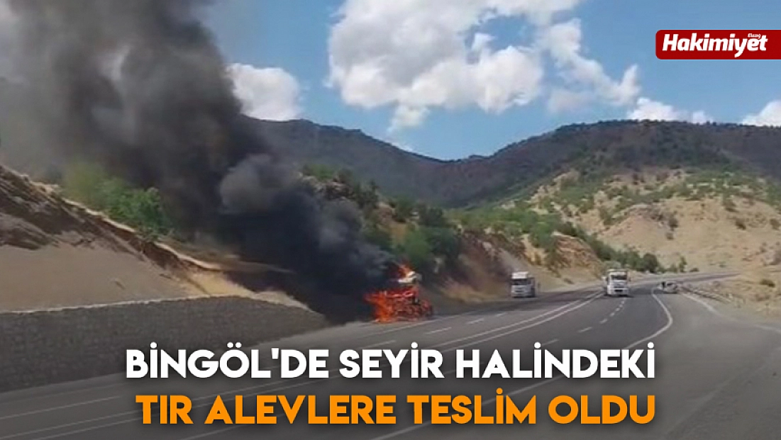 Bingöl'de seyir halindeki tır alevlere teslim oldu