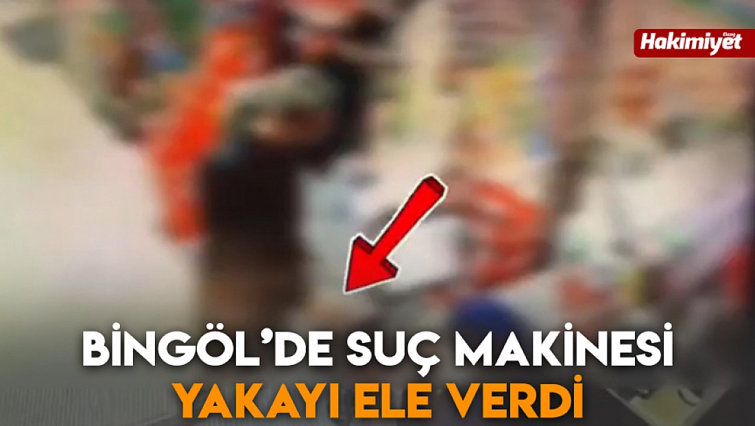 Bingöl’de suç makinesi yakayı ele verdi