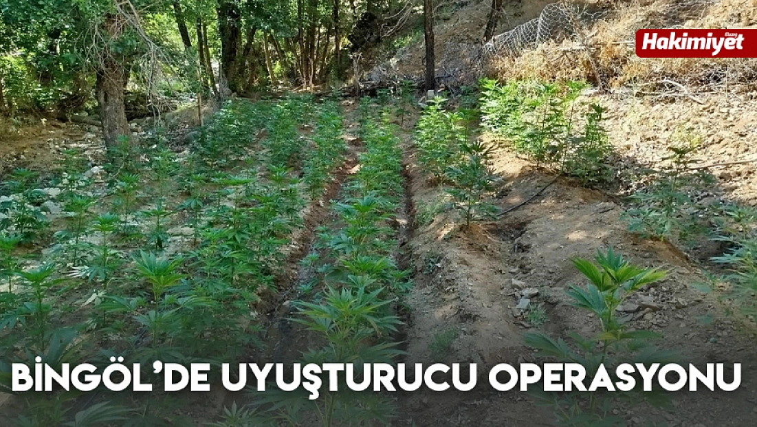 Bingöl’de uyuşturucu operasyonu