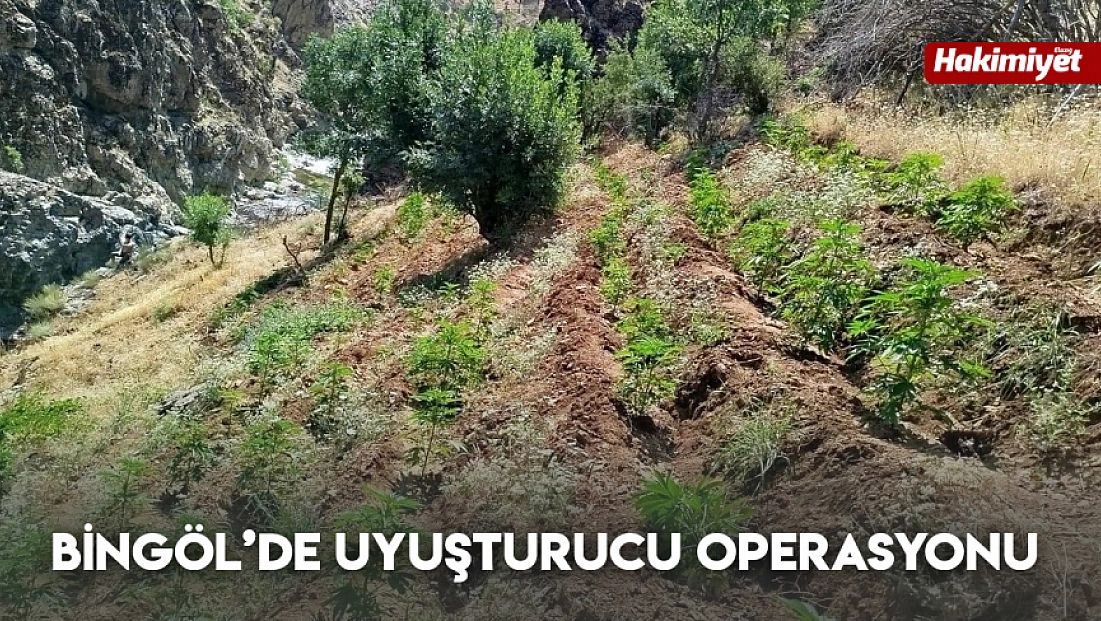 Bingöl’de uyuşturucu operasyonu