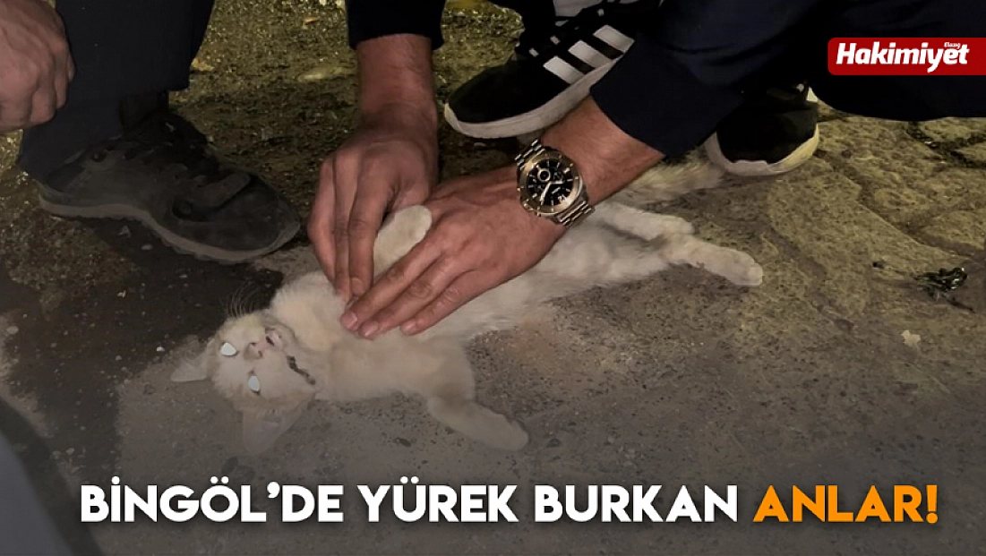 Bingöl’de yürek burkan anlar!