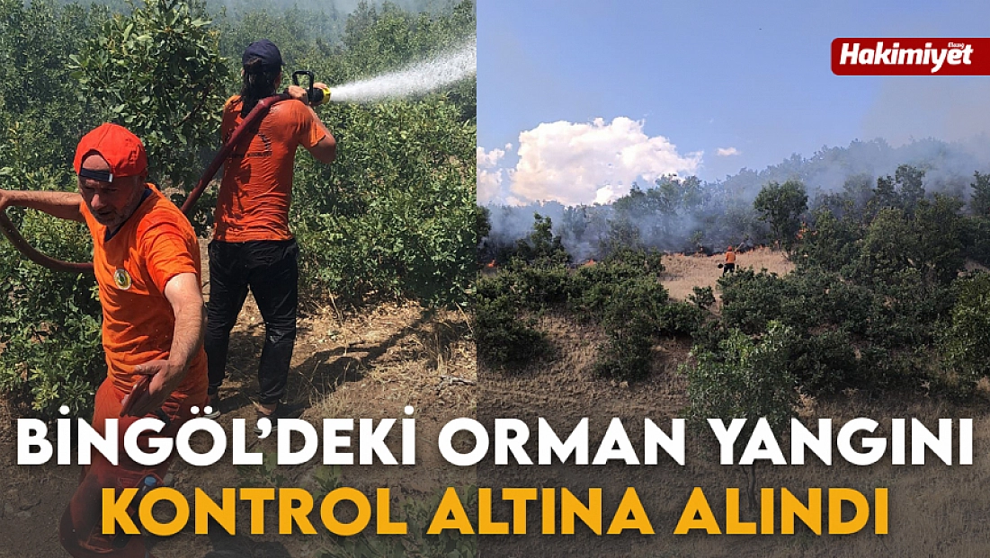 Bingöl’deki orman yangını kontrol altına alındı
