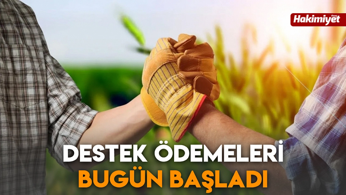 Destek ödemeleri bugün başladı