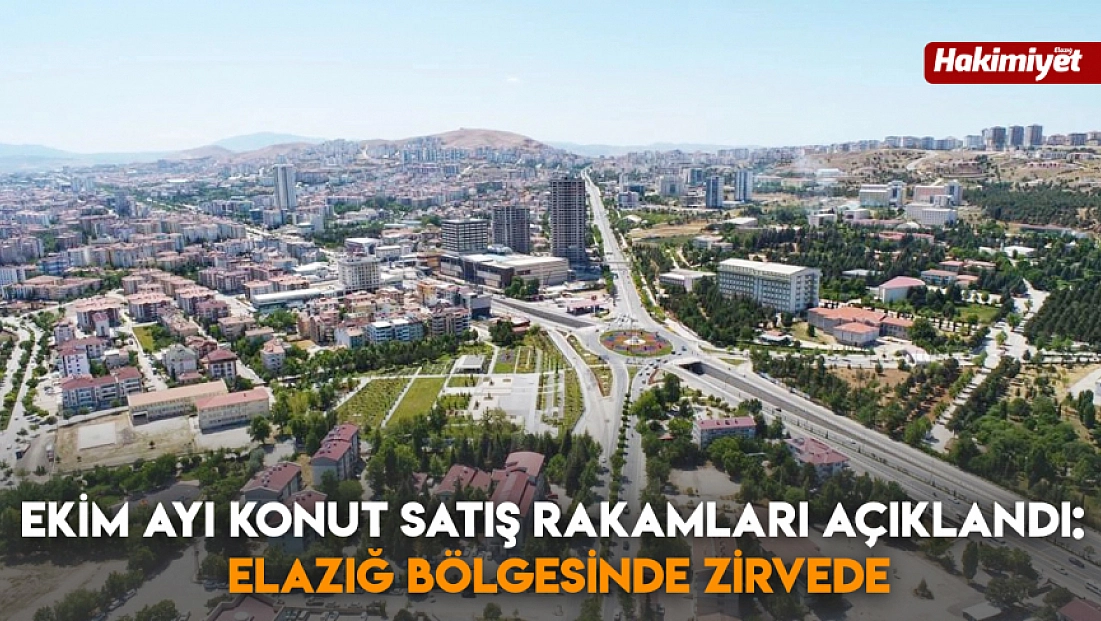 Ekim Ayı Konut Satış Rakamları Açıklandı: Elazığ Bölgesinde Zirvede