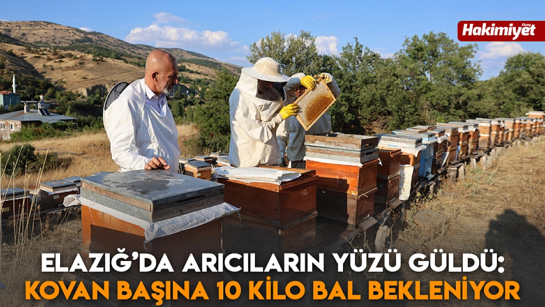 Elazığ’da arıcıların yüzü güldü: Kovan başına 10 kilo bal bekleniyor