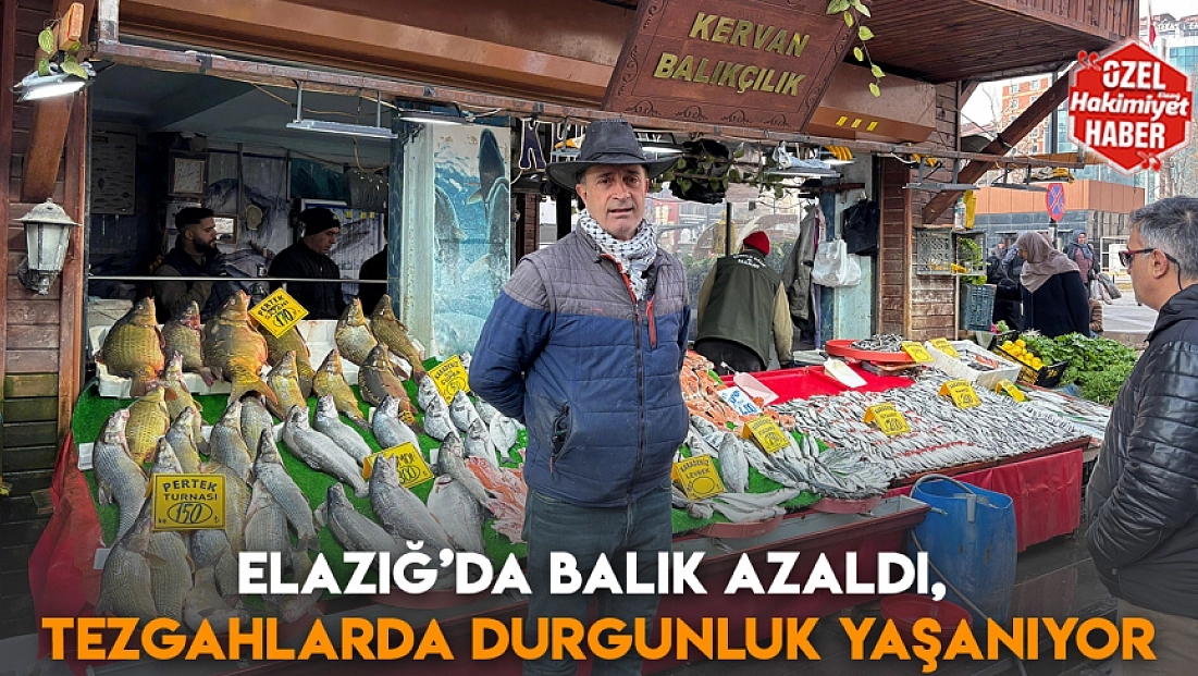 Elazığ’da Balık Azaldı, tezgahlarda durgunluk yaşanıyor