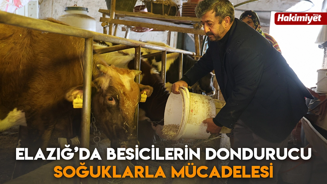 Elazığ’da besicilerin dondurucu soğuklarla mücadelesi