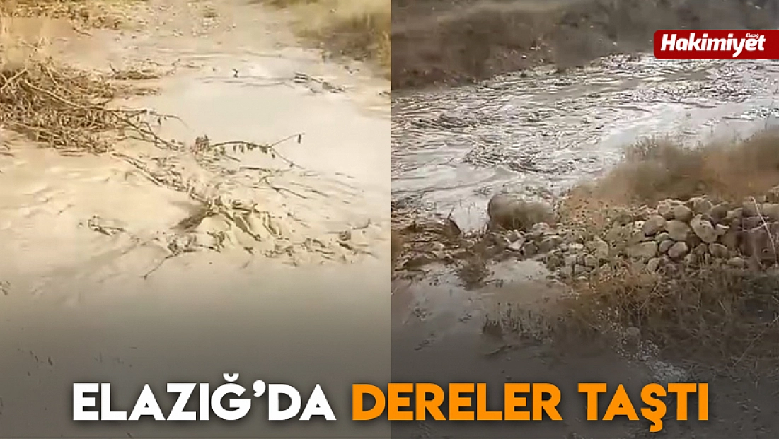 Elazığ'da dereler taştı