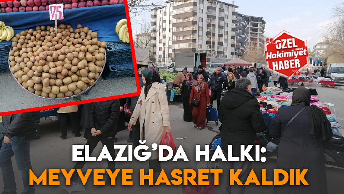 Elazığ’da halkı:  Meyveye hasret kaldık