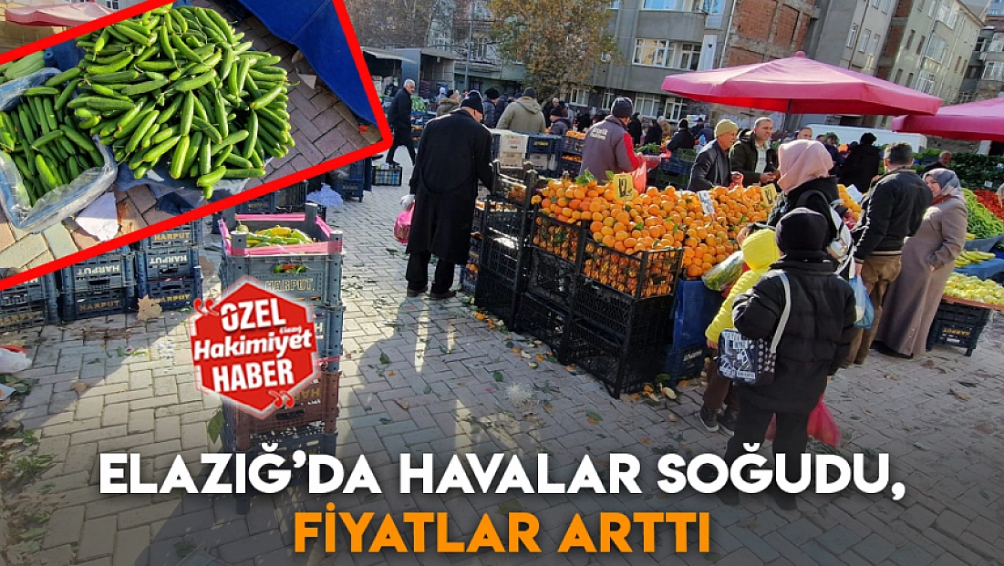 Elazığ’da havalar soğudu, fiyatlar arttı