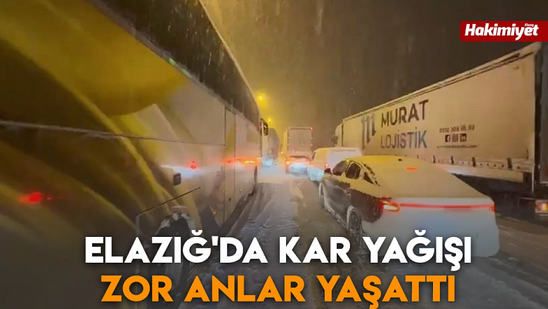 Elazığ'da kar yağışı zor anlar yaşattı