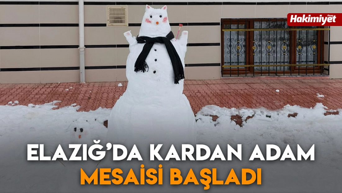 Elazığ’da kardan adam mesaisi başladı
