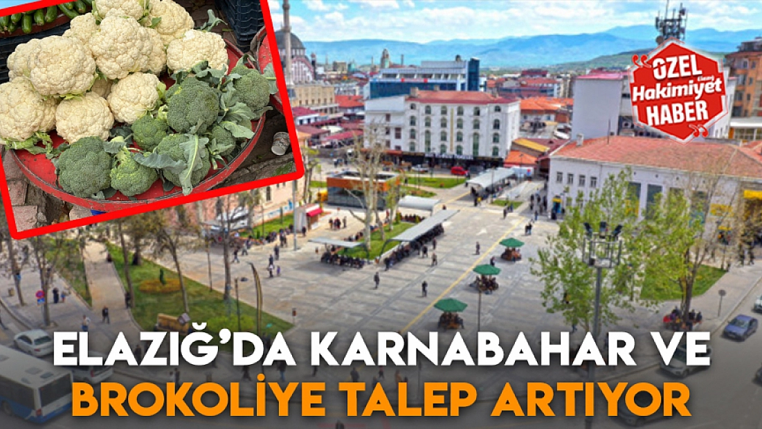 Elazığ’da karnabahar ve brokoliye talep artıyor