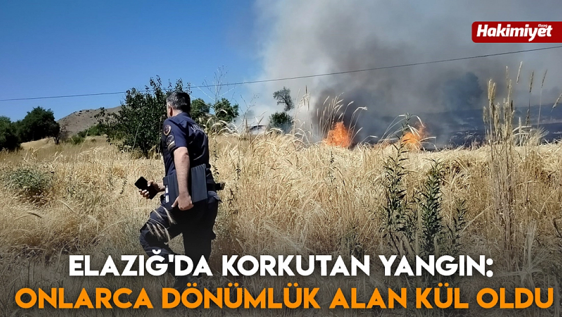 Elazığ'da korkutan yangın: Onlarca dönümlük alan kül oldu