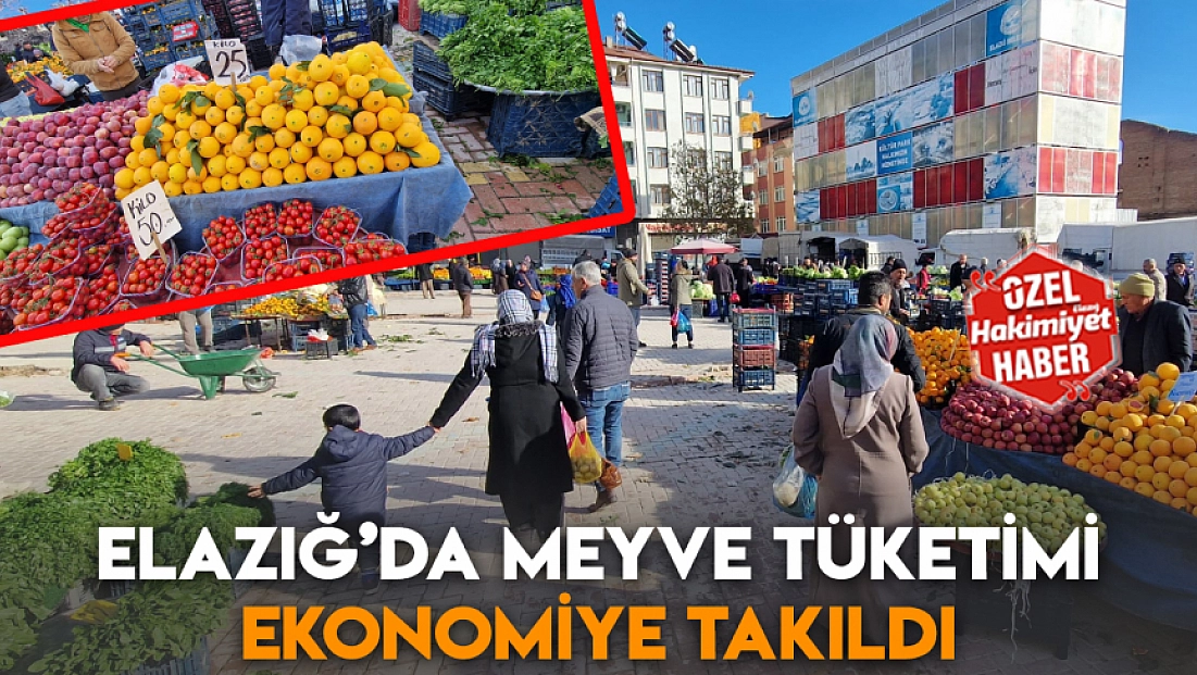 Elazığ’da meyve tüketimi ekonomiye takıldı