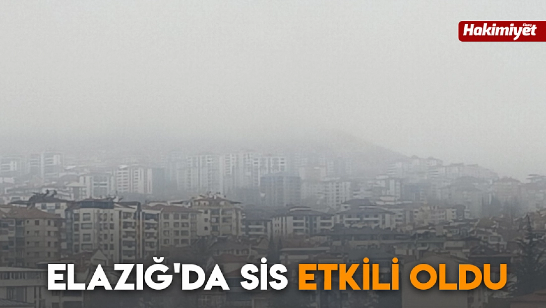 Elazığ'da sis etkili oldu