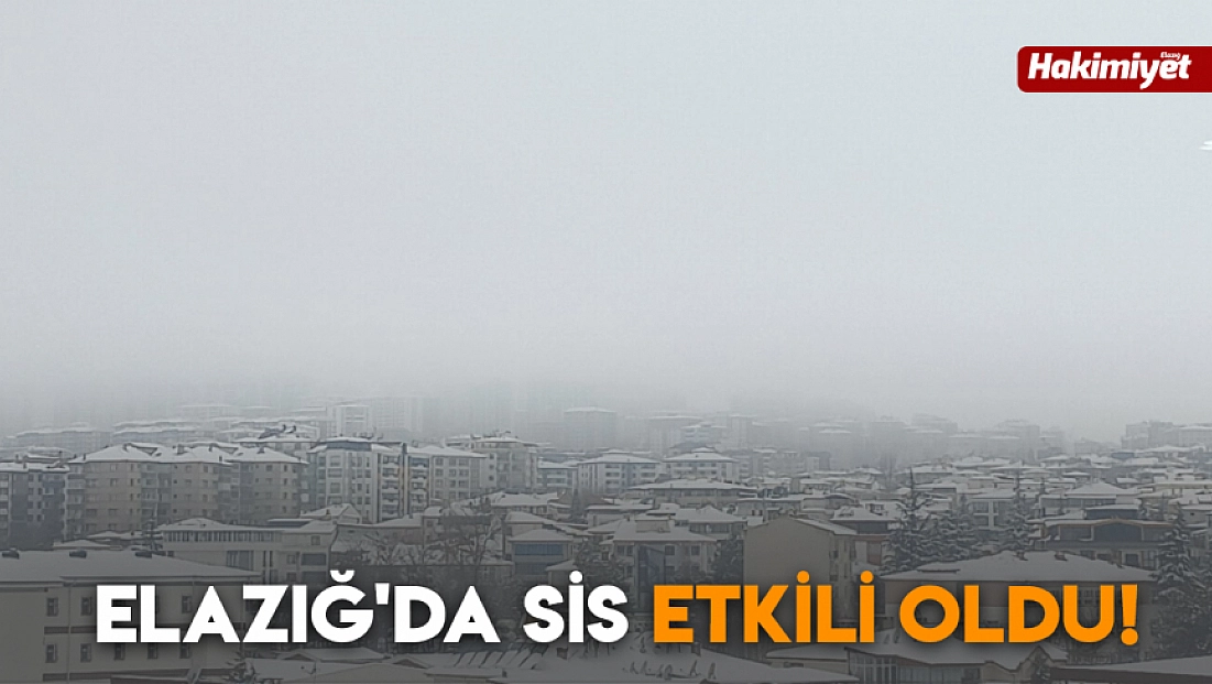 Elazığ'da sis etkili oldu!