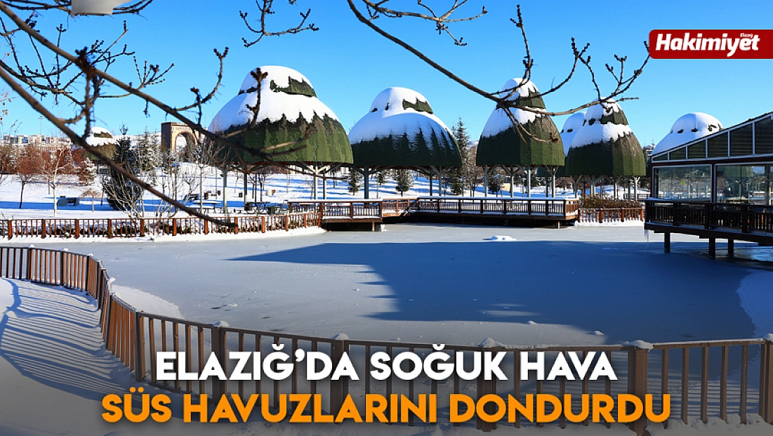 Elazığ’da soğuk hava süs havuzlarını dondurdu