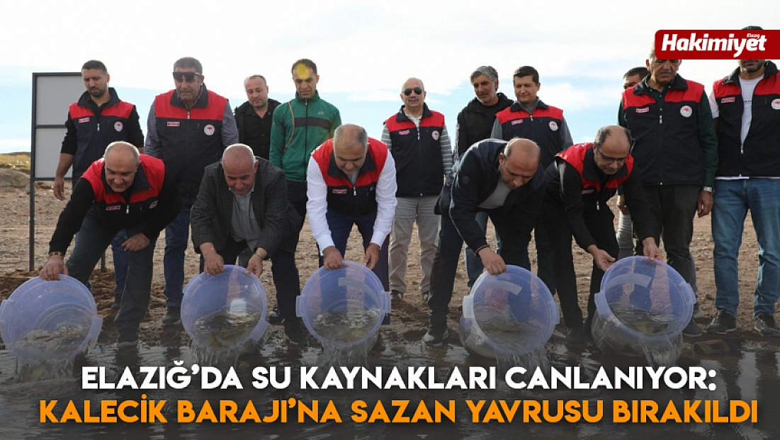 Elazığ’da su kaynakları canlanıyor: Kalecik Barajı’na 11 bin 800 sazan yavrusu bırakıldı