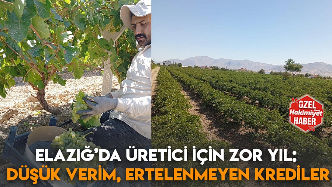 Elazığ’da üretici için zor yıl: Düşük verim, ertelenmeyen krediler