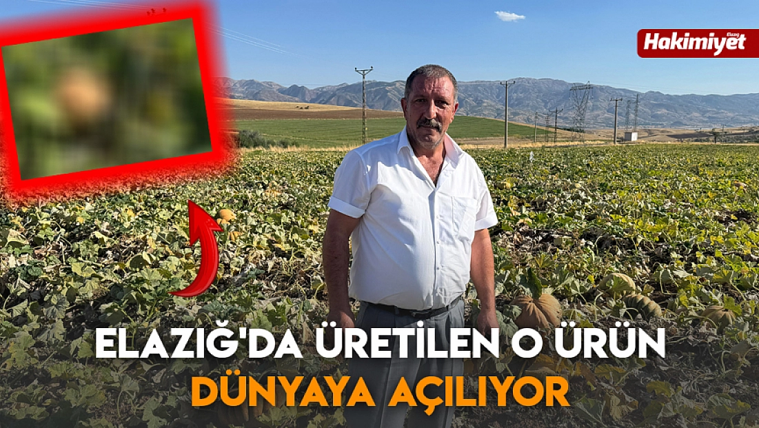Elazığ'da üretilen o ürün dünyaya açılıyor