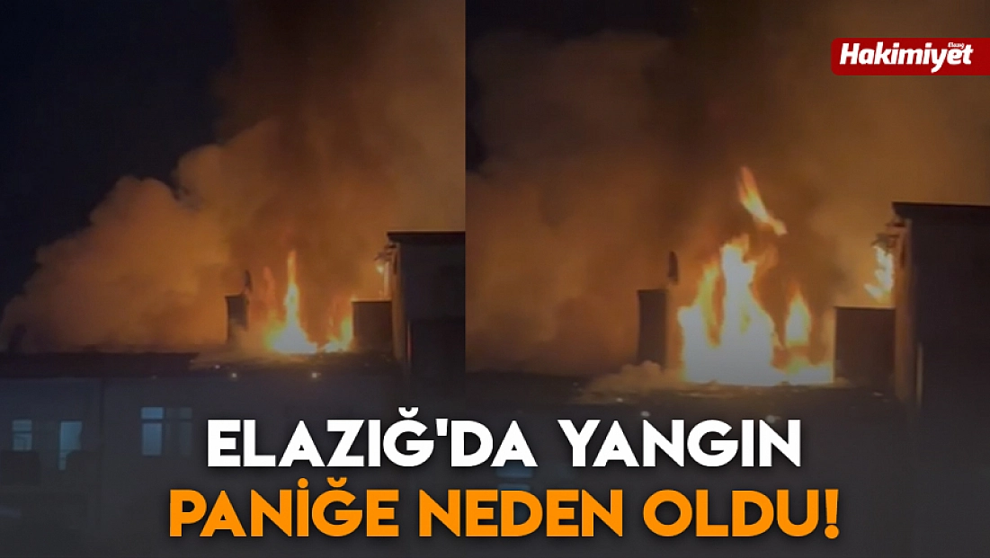 Elazığ'da yangın paniğe neden oldu!