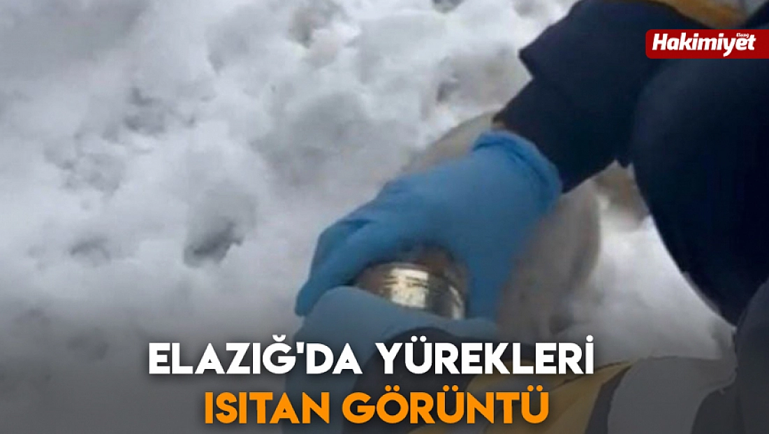 Elazığ'da yürekleri ısıtan görüntü