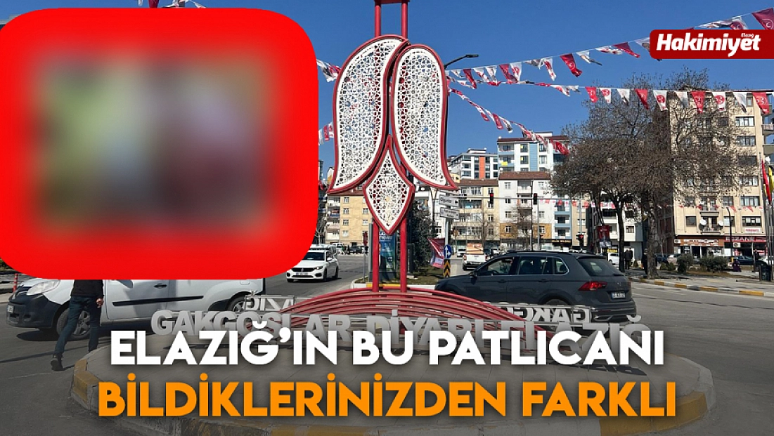 Elazığ’ın bu patlıcanı bildiklerinizden farklı