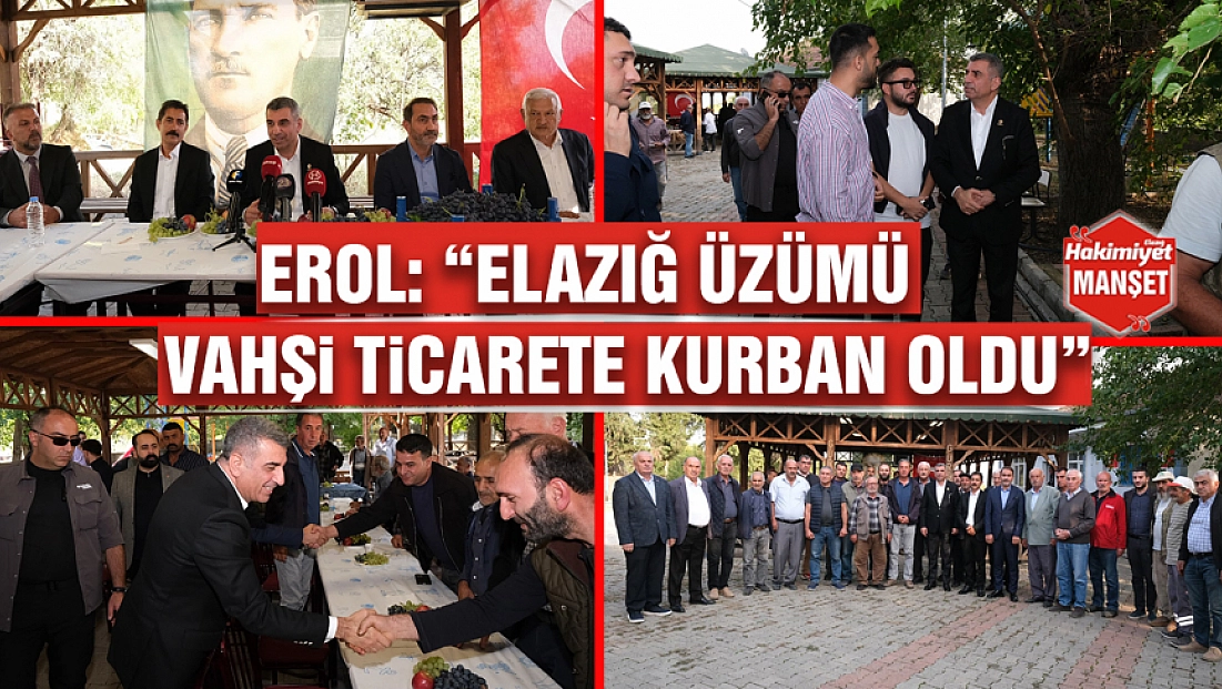 Erol: “Elazığ üzümü vahşi ticarete kurban oldu