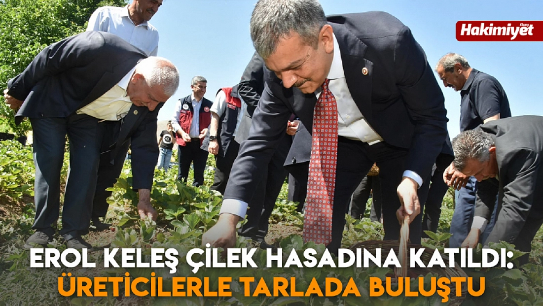 Erol Keleş çilek hasadına katıldı: Üreticilerle tarlada buluştu
