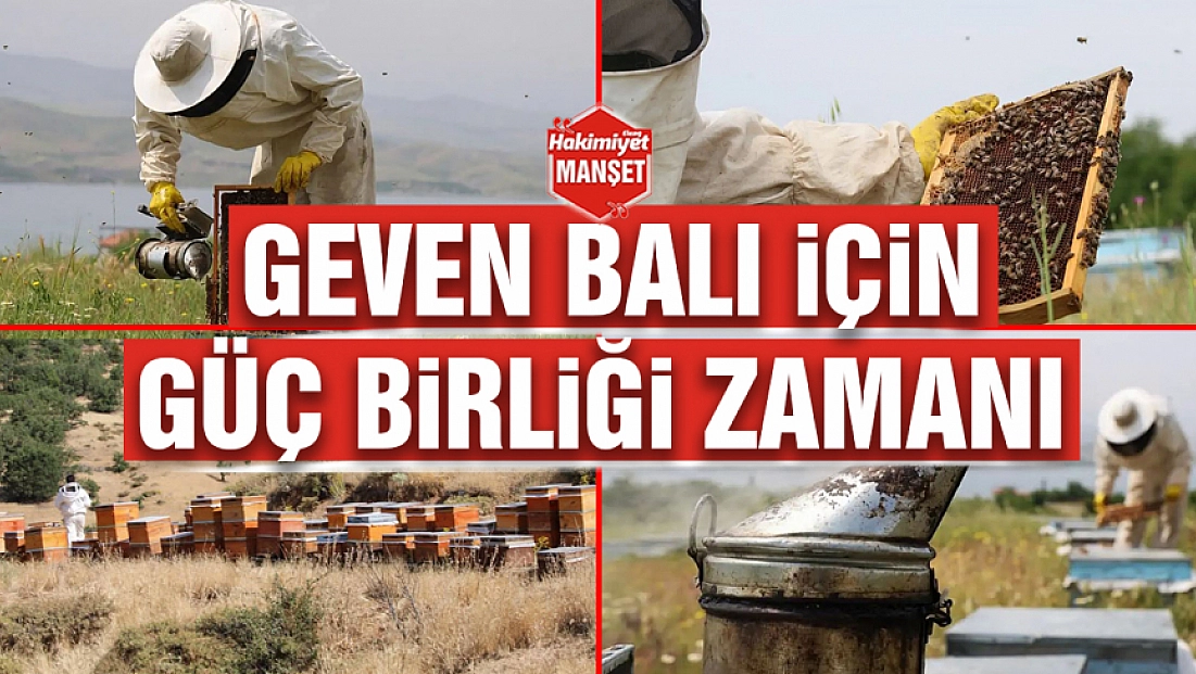 Geven Balı için güç birliği zamanı