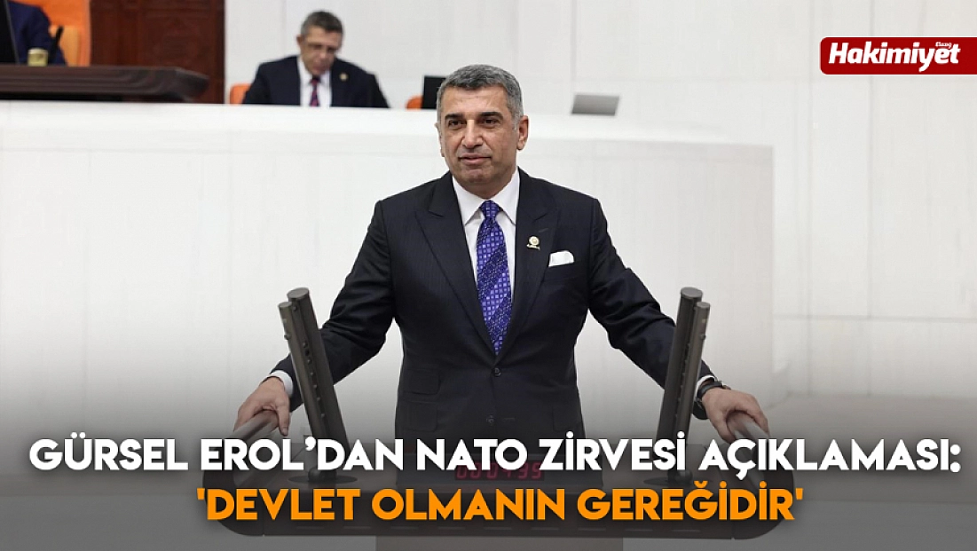 Gürsel Erol’dan NATO Zirvesi Açıklaması: 'Devlet Olmanın Gereğidir'