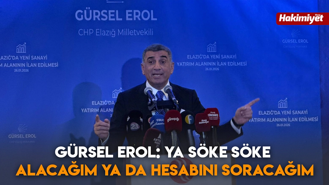 Gürsel Erol: Ya söke söke alacağım ya da hesabını soracağım