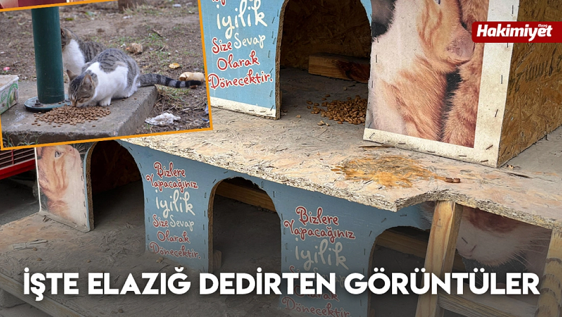 İşte Elazığ dedirten görüntüler