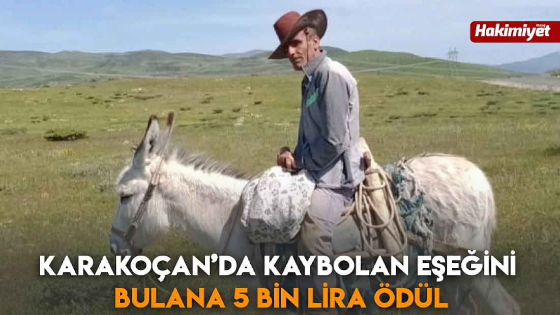 Karakoçan’da Kaybolan Eşeğini Bulana 5 Bin Lira Ödül