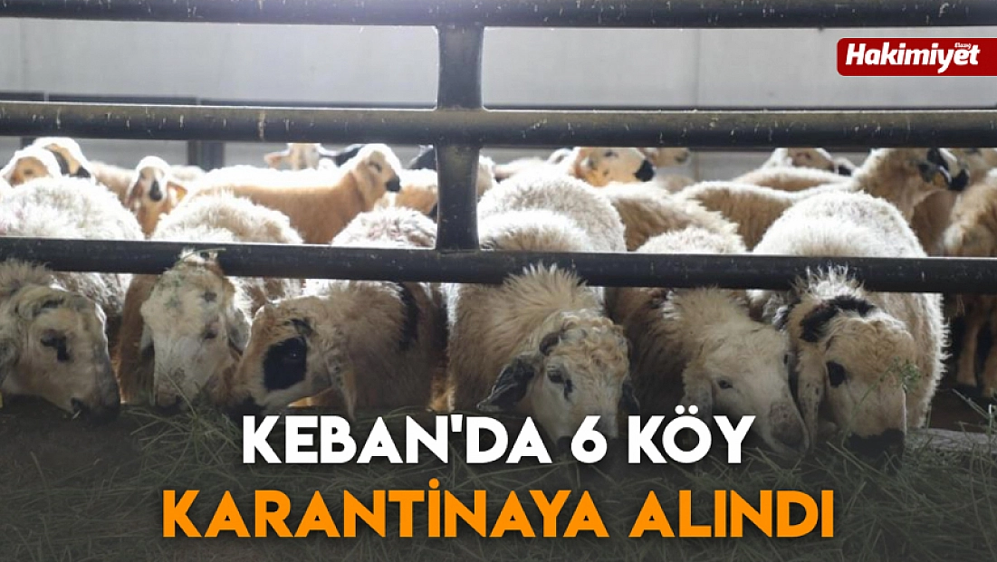 Keban'da 6 köy karantinaya alındı