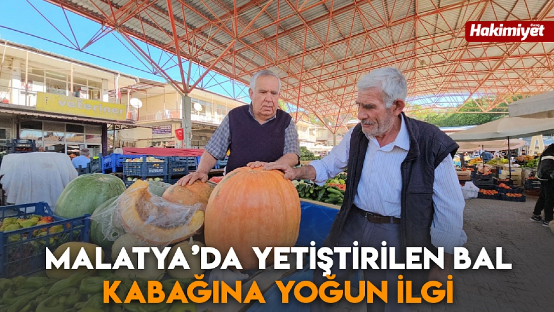 Malatya'da yetiştirilen bal kabağına yoğun ilgi