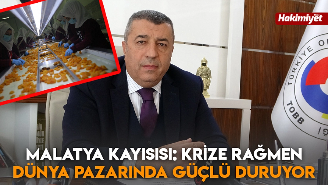 Malatya kayısısı: Krize rağmen dünya pazarında güçlü duruyor
