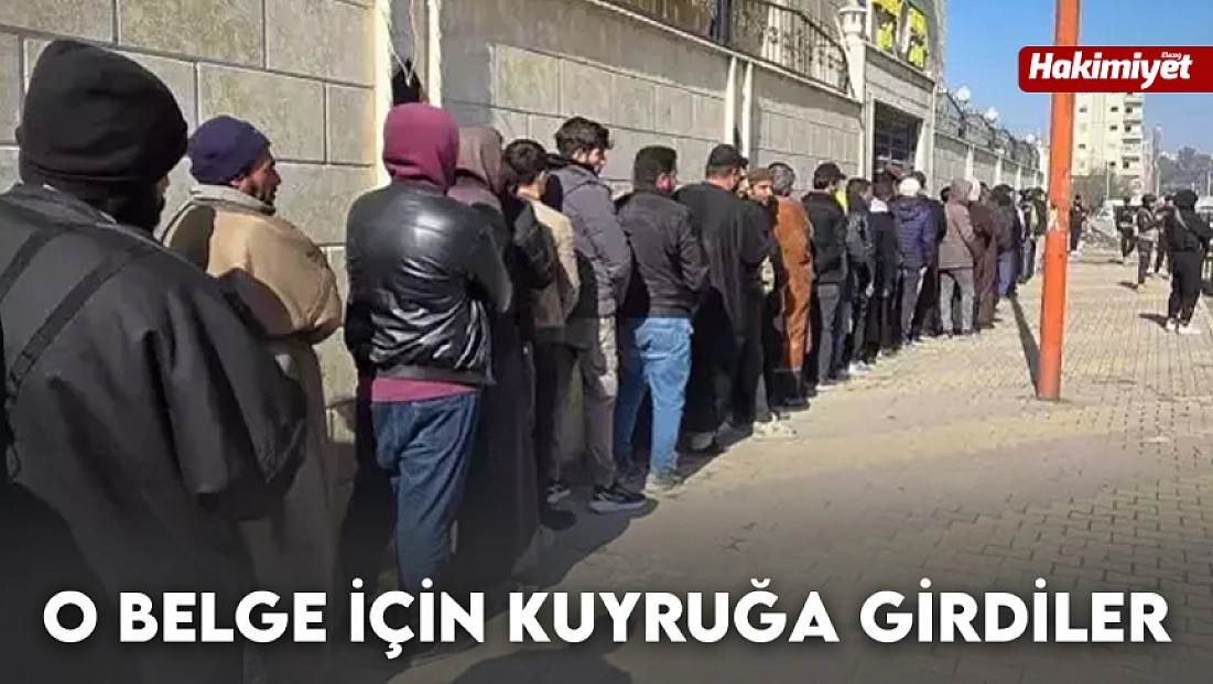 O belge için kuyruğa girdiler