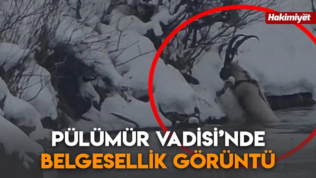 Pülümür Vadisi’nde belgesellik görüntü