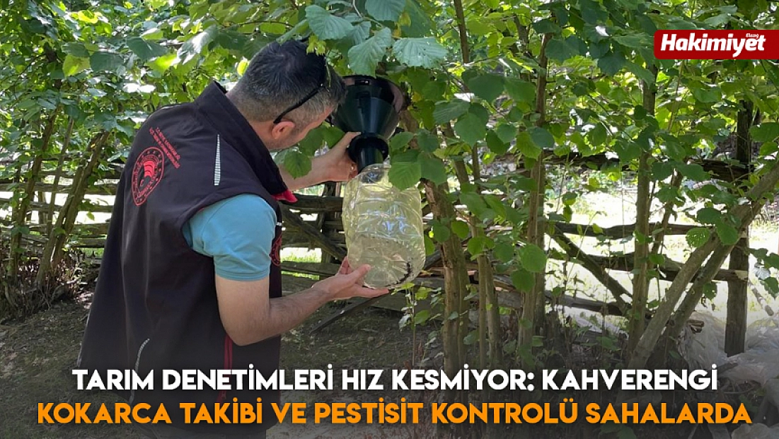 Tarım denetimleri hız kesmiyor: Kahverengi kokarca takibi ve pestisit kontrolü sahalarda